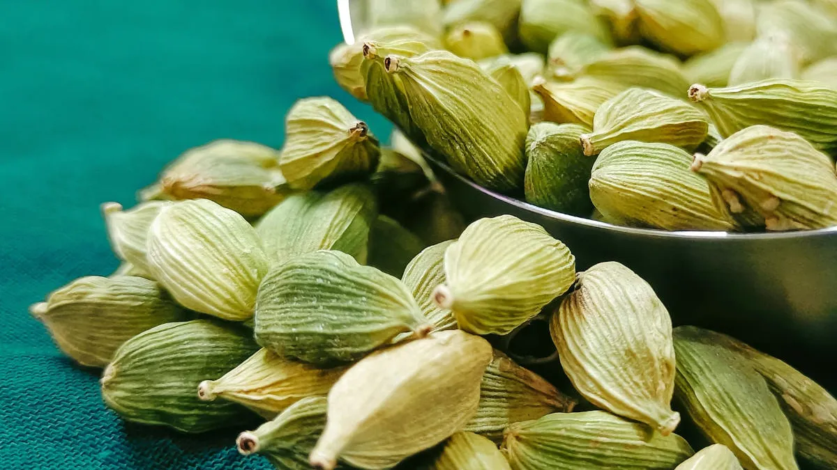 Condimentul - minune care luptă împotriva cancerului. E ieftin și poate fi folosit în orice fel de mâncare