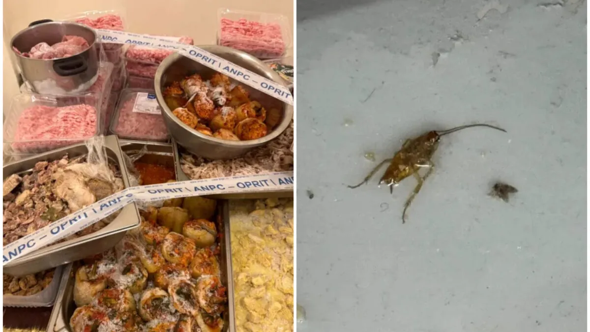 ANPC a închis restaurantul de la Camera Deputaților pentru 6 luni. S-au găsit gândaci și sute de kilograme de carne expirată