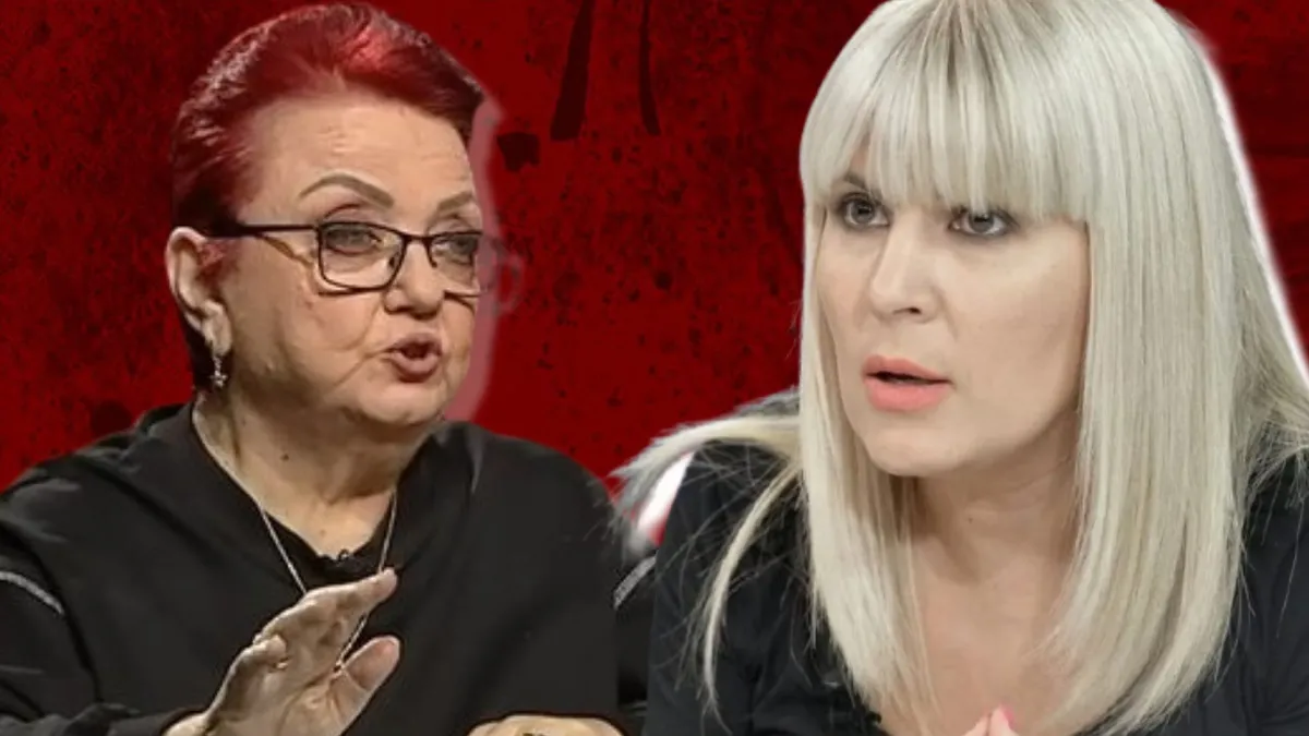 Plicul misterios pe care Minerva i l-a dat Elenei Udrea înainte de condamnare. ”Nu știu dacă putea să evite pușcăria”