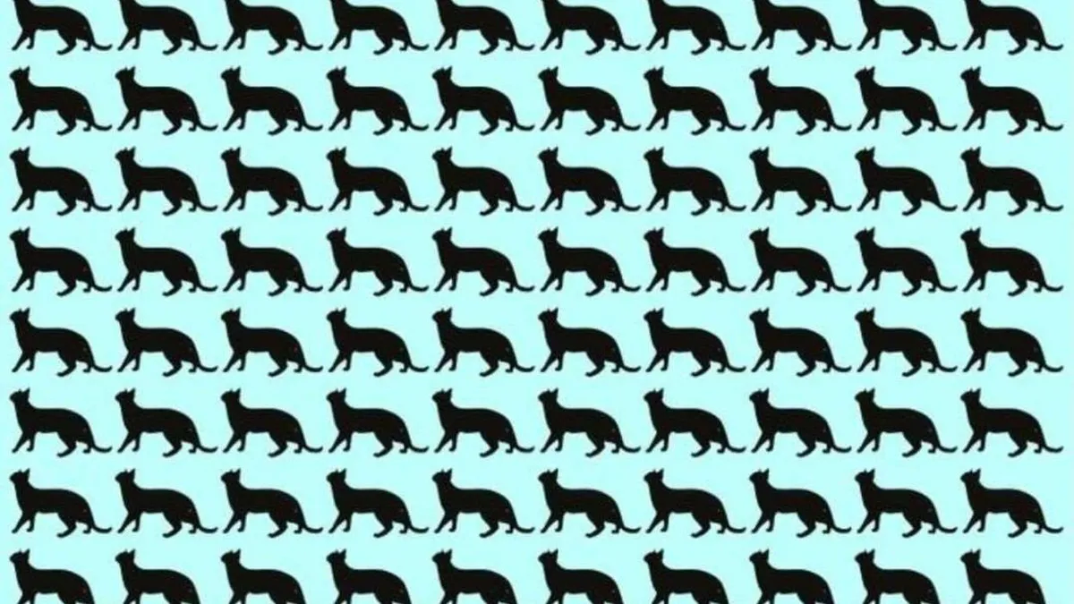 Testul IQ care te va lăsa fără cuvinte! Doar 1 din 100 de români reușește să găsească pisica ascunsă în doar 5 secunde!