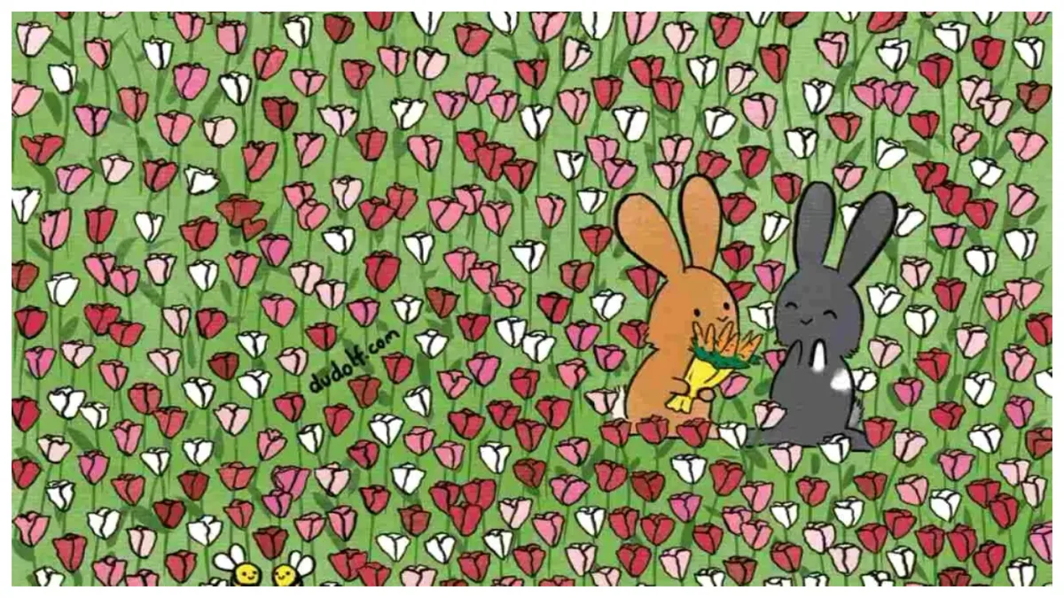 Testul de inteligență care vă pune atenția la detalii la încercare. Puteți observa două inimi ascunse în imagine în 7 secunde?