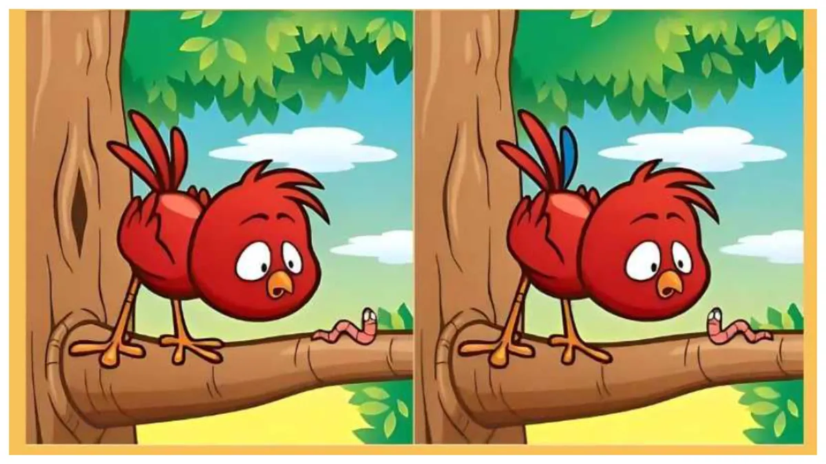 Test de logică pentru cei mai deștepți oameni. Ce diferențe observi între aceste două imagini?