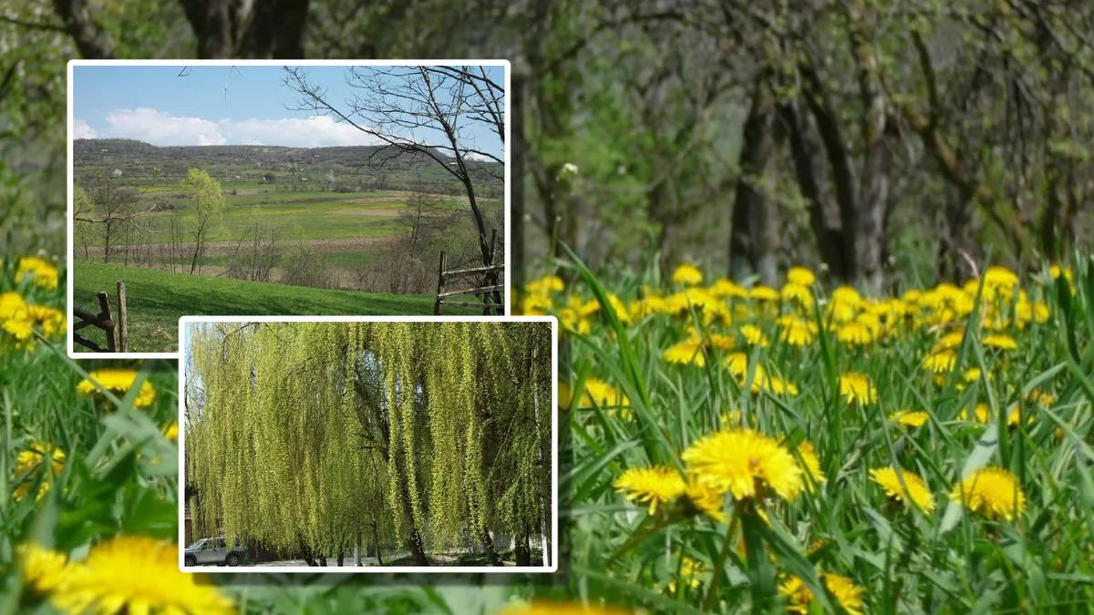 Vreme de vară în plină primăvară. Temperaturi record de 30°C și furtuni puternice în perioada următoare