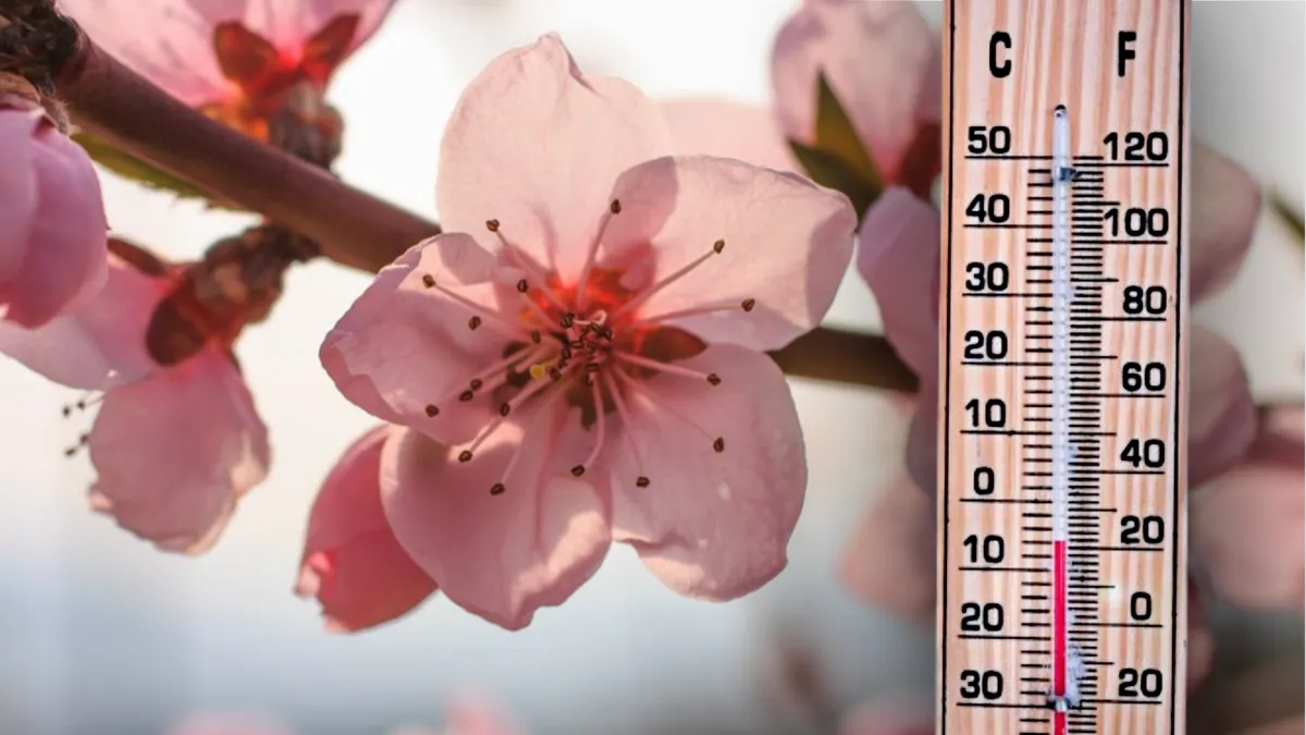 ANM anunță temperaturi de până la 20 de grade Celsius în prima săptămână din martie. Primăvară își intră în drepturi, după episodul de ninsoare și ger