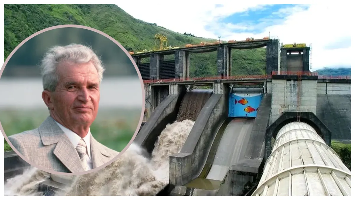 Ultimul proiect major al lui Ceaușescu devine realitate. Guvernul a aprobat defrișarea a 30 de hectare de pădure