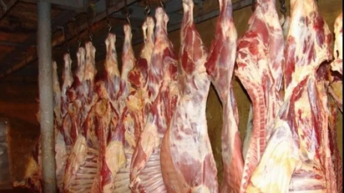 Preţuri duble în România pentru carnea de miel faţă de 2023. Cât costă în UE