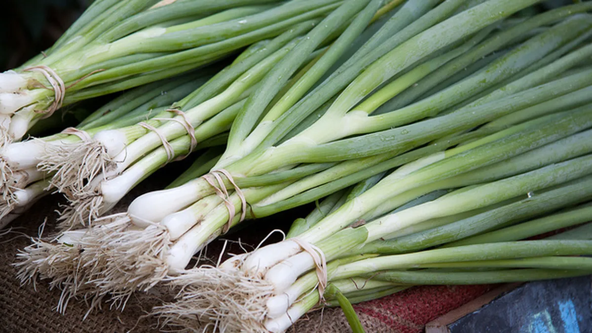 Ceapa verde, leguma minune pentru organism. La ce ajută, de fapt, acest aliment preferat de români
