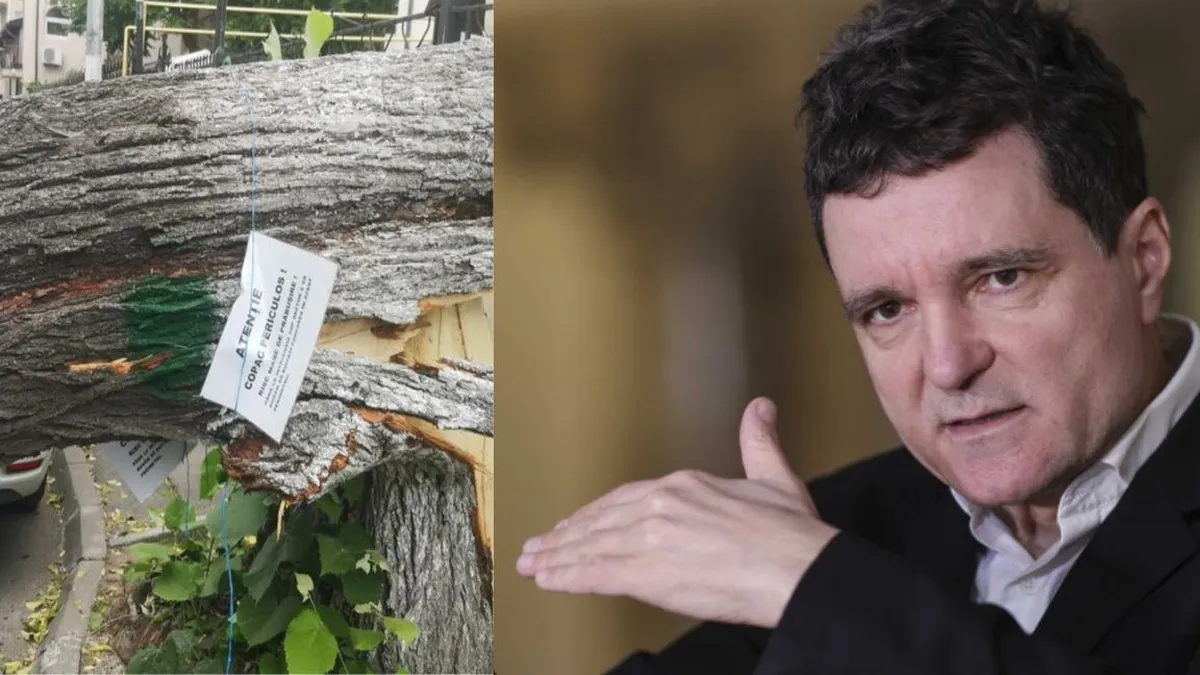 Nicușor Dan a dat undă verde pentru defrișarea unui parc din centrul Capitalei. Zeci de copaci au fost doborâți de drujbe