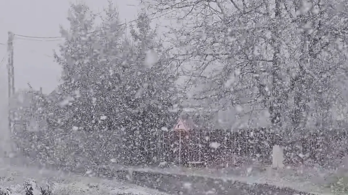 Ninsorile și viscolul au revenit în România. Cât va mai ține vremea rece / PROGNOZA METEO ACTUALIZATĂ