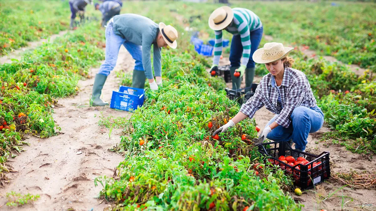Categoriile de angajați români care pot beneficia de rambursarea parțială a impozitului pe venit. Ce condiții trebuie să îndeplinească pentru a primi banii înapoi