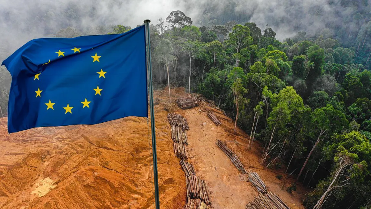 România se opune noii legi UE privind defrișările. Reguli imposibil de aplicat și risc economic major