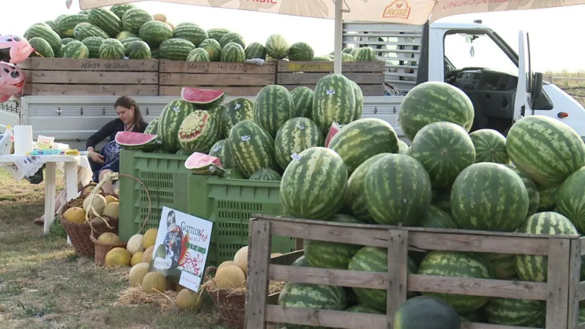 Cât costă pepenii românești în 2025 în pieţe şi în supermarket. Unde este cel mai bun preţ