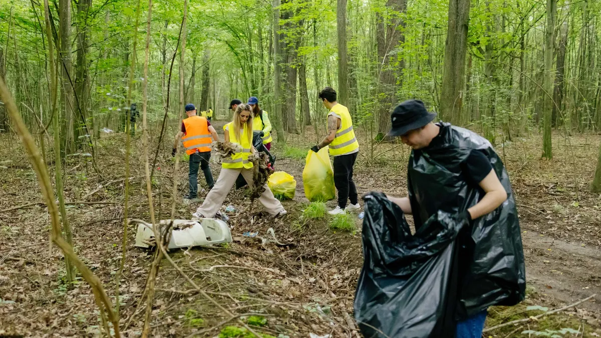 Gesturi simple care contează pentru un viitor mai bun. Peste 15 tone de deșeuri colectate în cadrul campaniei de ecologizare a BAT România în pădurea Plopeni, județul Prahova