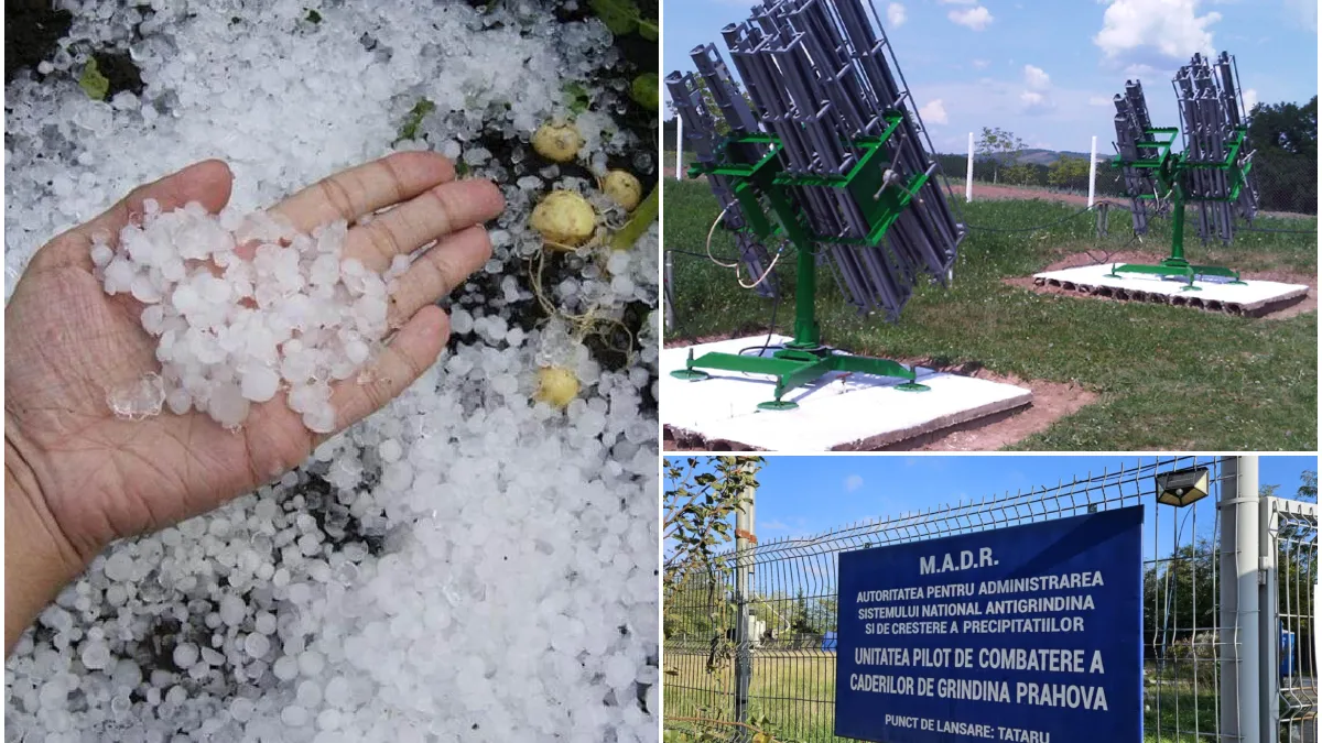 60 de angajați ai unei instituții rămase fără obiect de activitate, plătiți să stea degeaba. Directorul încasează un salariu de 12.000 de lei