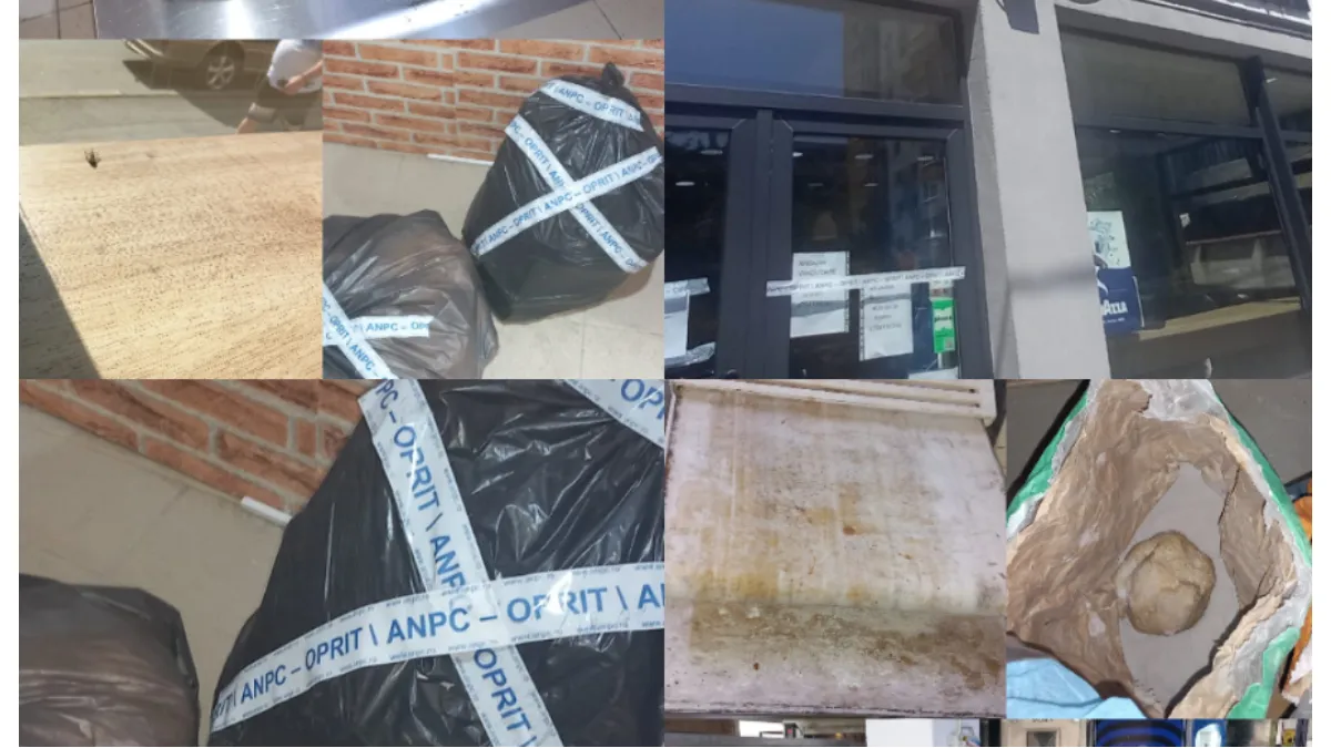 Brutărie din București, închisă de ANPC. Oamenii lui Cristian Popescu Piedone au găsit gândaci morți, insecte și mucegai