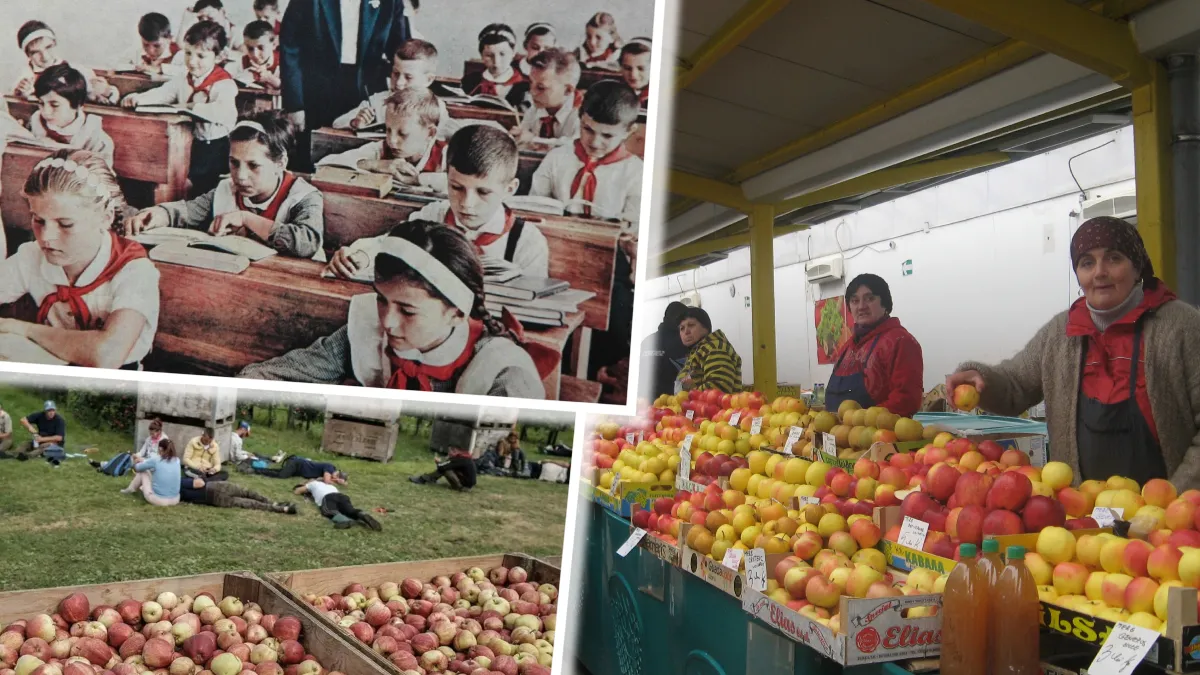 Un fruct românesc, care nu lipsea de pe nicio masă în comunism, este pe cale de dispariție. Schimbările climatice au compromis culturile