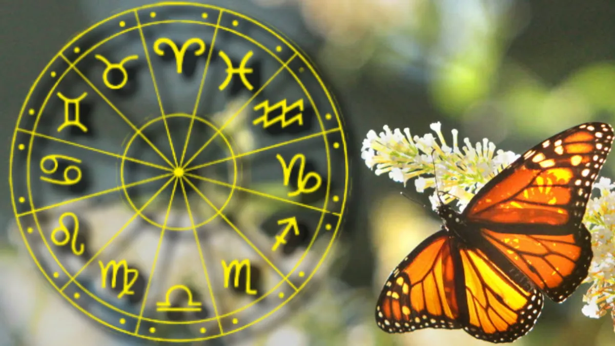 Horoscop 25-31 iulie. Alegeri conștiente și lecții de viață pentru toate zodiile