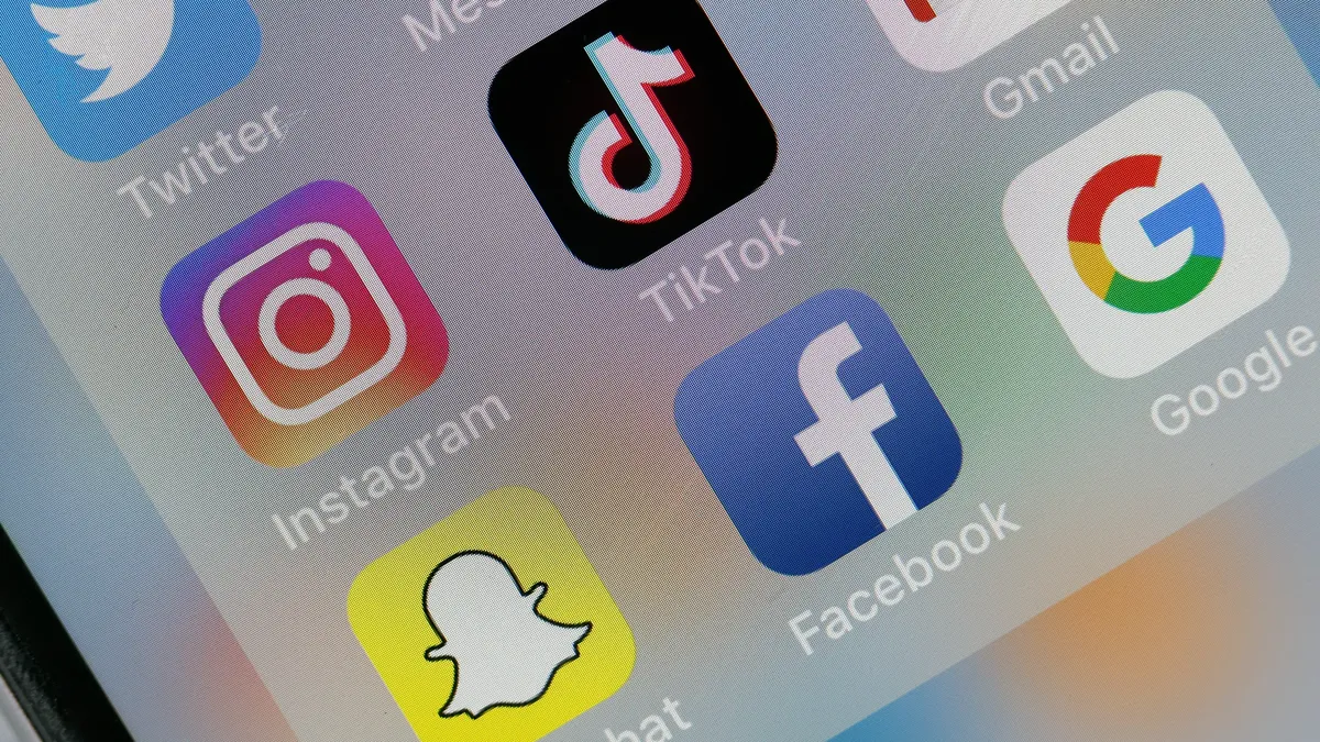 Taxarea TikTok, Google și Facebook, după modelul Germaniei, ar putea salva economia României