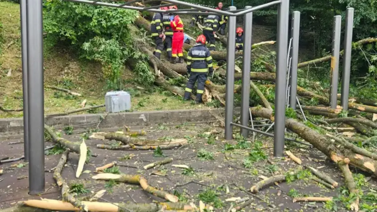 Tragedie la poalele Tâmpei: Un copac s-a prăbușit peste doi trecători. Un tânăr a murit, iar o femeie a fost rănită