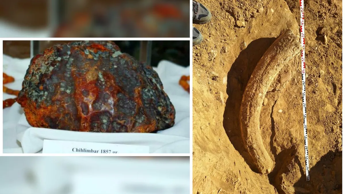 Cea mai mare pepită de chihlimbar din lume și incisivul de 1,2 m al mamutului Otto, descoperite în România, au fost expuse