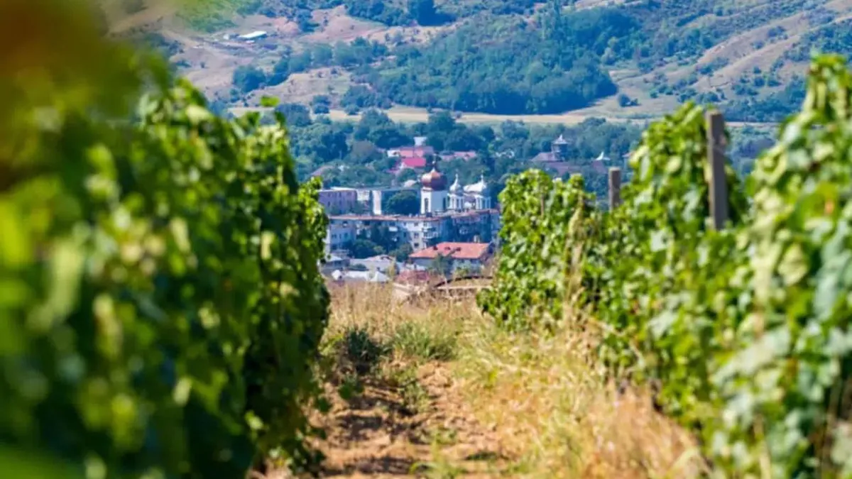 Un colț spectaculos al României care ar putea deveni una dintre cele mai căutate destinații turistice din Europa, dar pe care autoritățile continuă să-l ignore