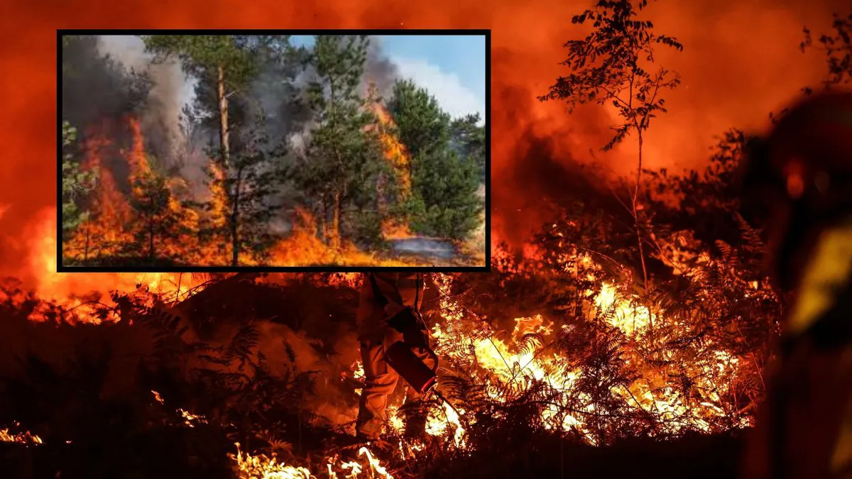 Europa arde! Incendii uriașe în Franța, Spania, Italia și Grecia. Mii de hectare mistuite, localnici disperați