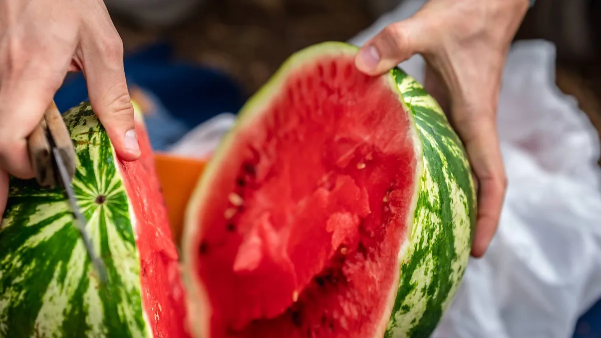 Cum alegi un pepene copt fără să îi dai cep. 6 metode prin care te asiguri că o să ai pe masă cel mai dulce şi mai roşu pepene