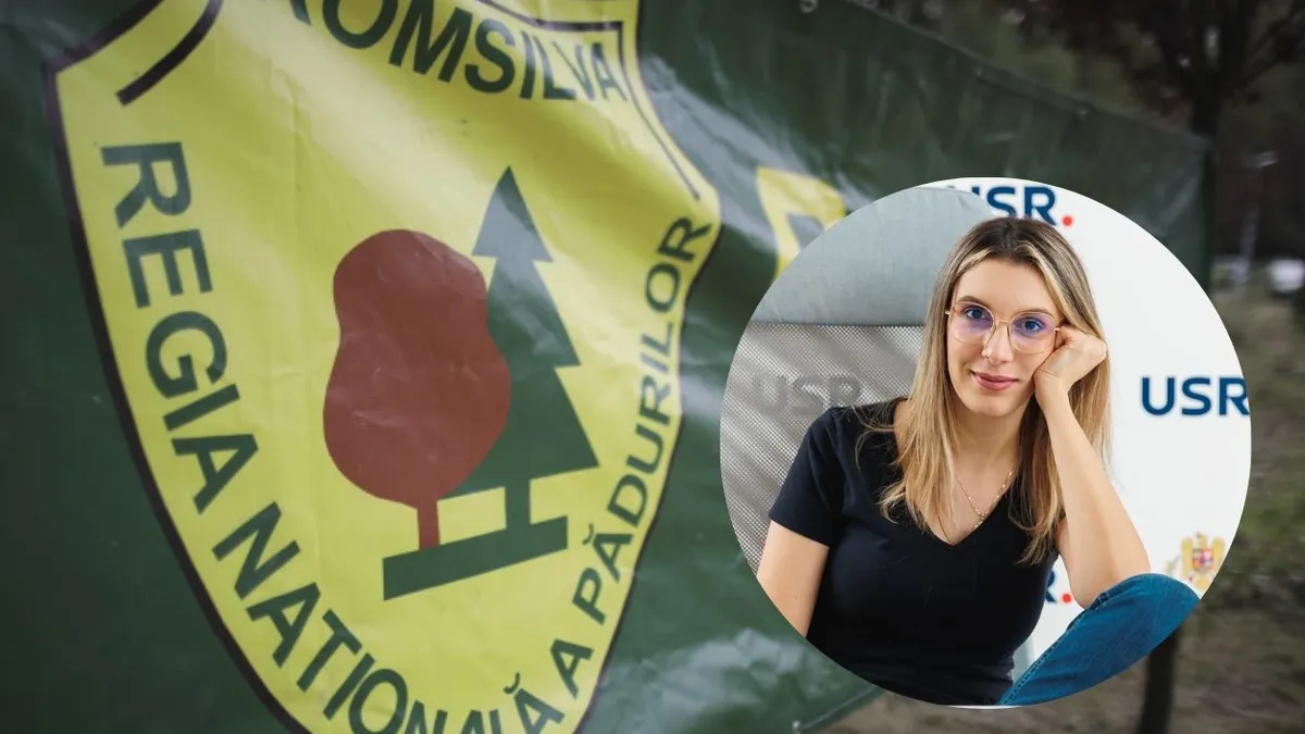 Romsilva economisește 19 milioane de lei anual prin reducerea majoră a numărului de directori