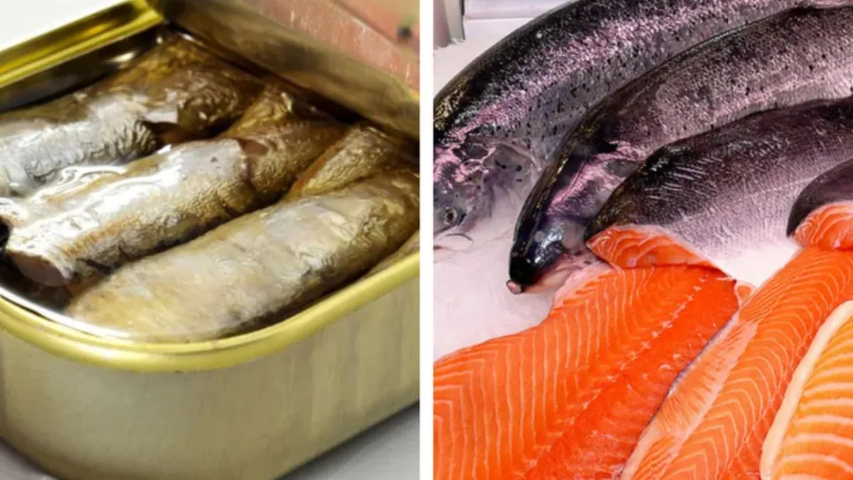 Cel mai sănătos pește din lume este foarte ieftin și are un gust excepțional. Se vinde la conservă și este plin de nutrienți