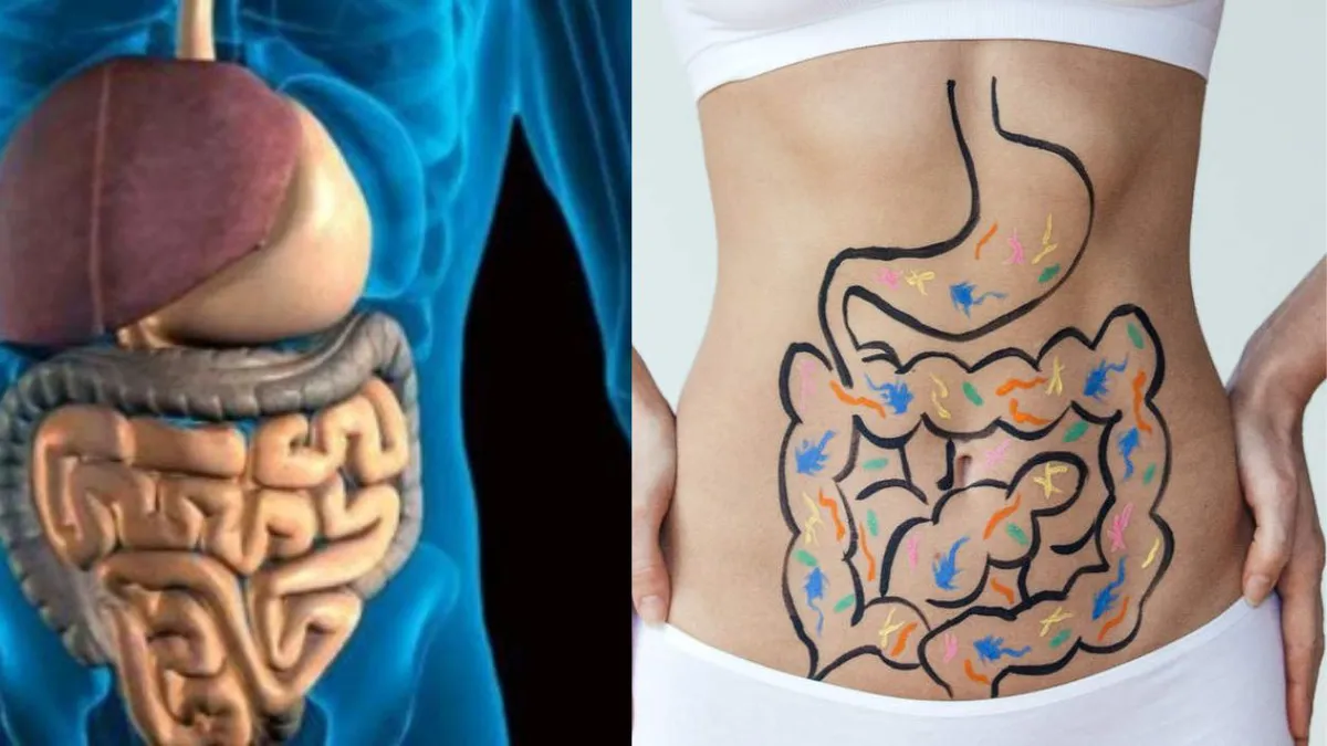 Sănătatea intestinelor nu se măsoară în zile. Ce spune știința despre mitul mersului zilnic la toaletă