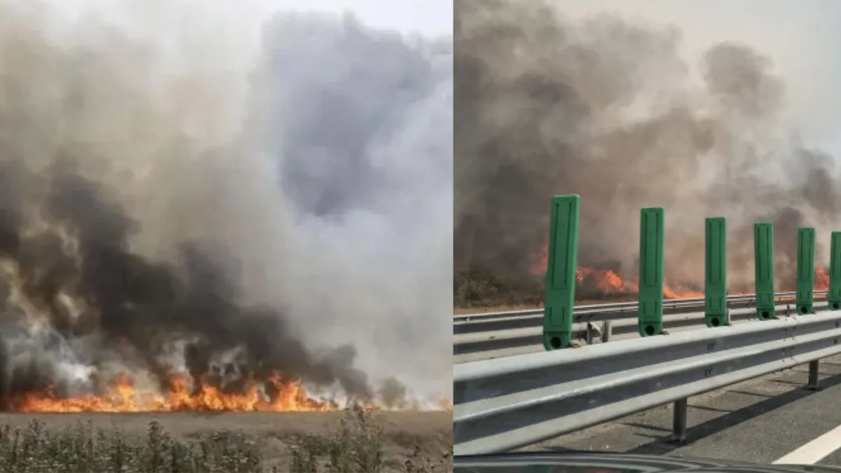 Incendiu de vegetație închide Autostrada Soarelui la km 169. Traficul spre București, deviat prin Medgidia