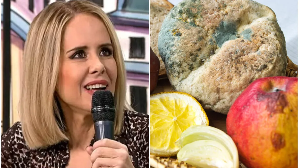Alimentele care pot fi consumate și după expirare. Mihaela Bilic: Mucegaiul are rol de protecție