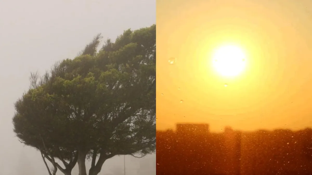 Cod roșu de caniculă în sudul României și rafale de vânt în alte zone ale țării. Cum va fi vremea în București