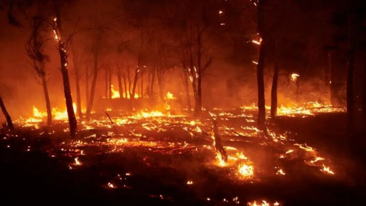 România trimite 51 de pompieri în Galicia pentru a sprijini Spania în lupta cu incendiile de pădure