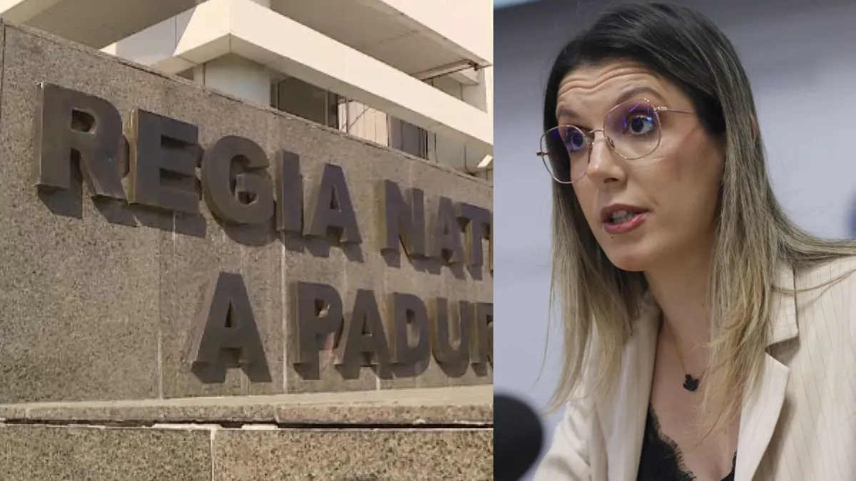 Romsilva acuză Ministerul Mediului că pune în pericol proiectele asumate prin PNRR. Reacția ministrei Diana Buzoianu