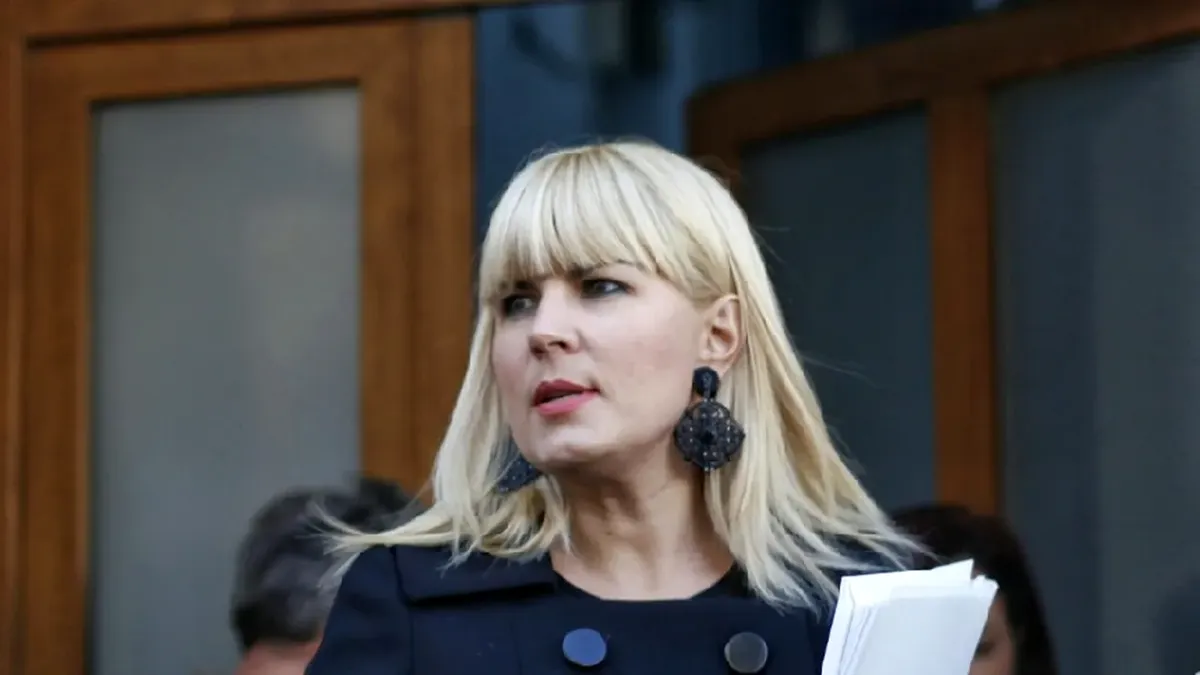 Cât mai are de recuperat ANAF din prejudiciul de 9 milioane de lei adus statului de Elena Udrea, stabilit în dosarul Gala Bute
