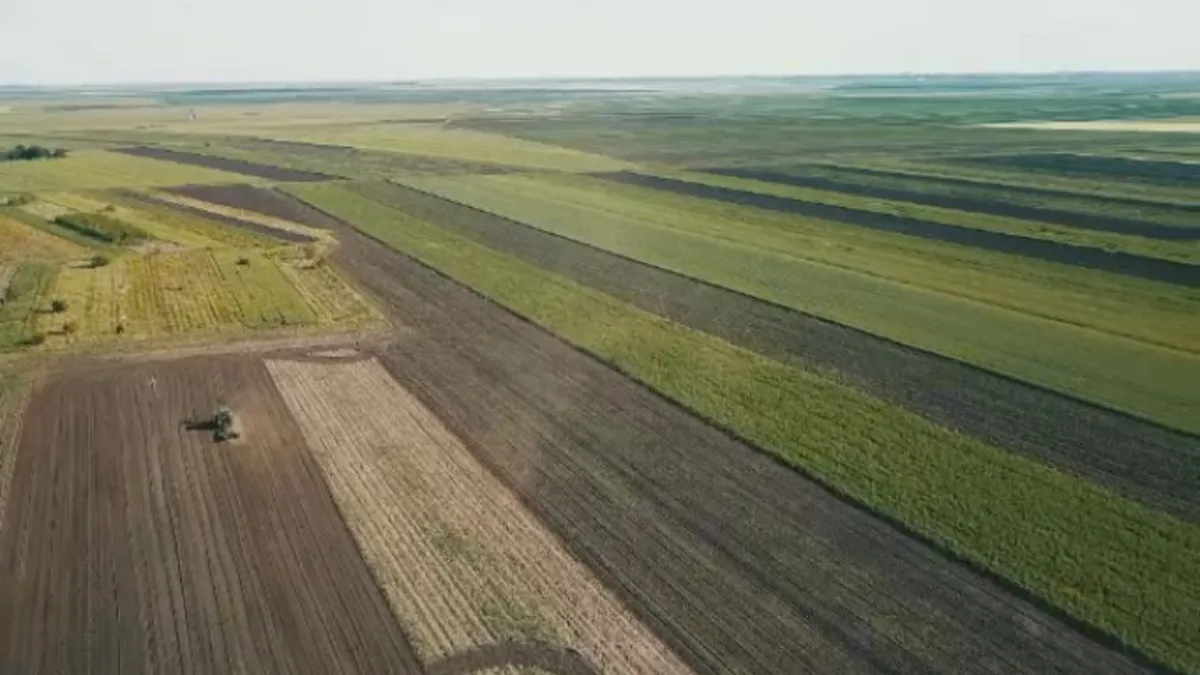 Cine deține Insula Mare a Brăilei, locul care produce cele mai mari recolte din România. Produsele ajung în străinătate, niciodată pe piața internă