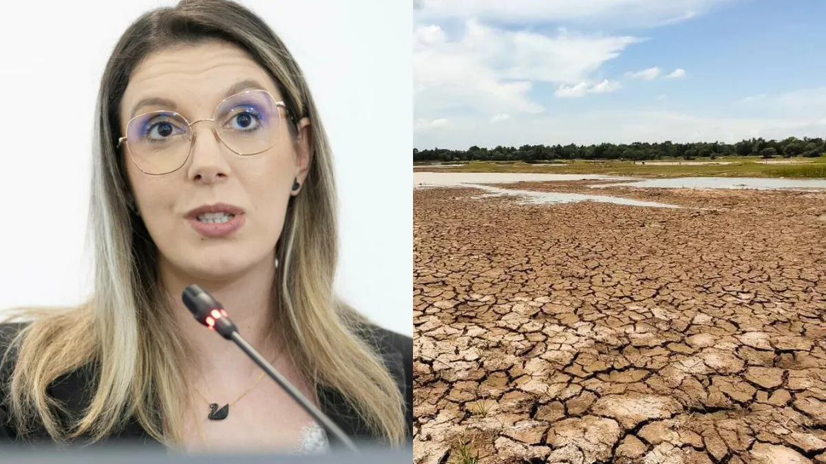 Diana Buzoianu propune un program național de împăduriri: 100.000 de hectare din România au devenit deșert