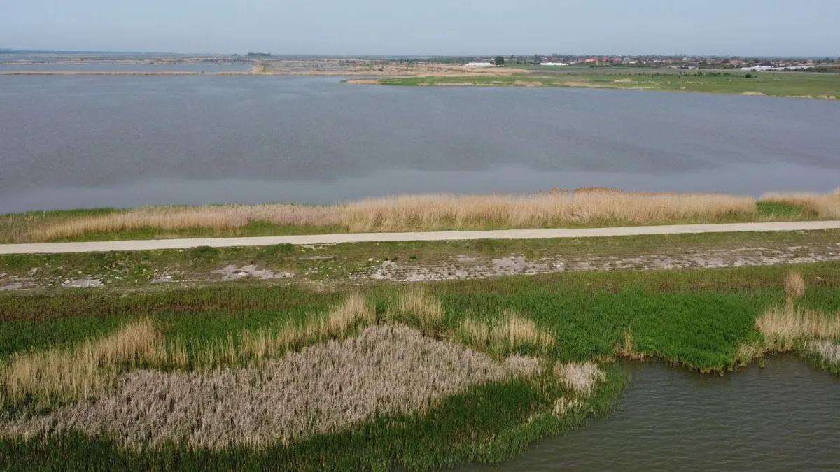 Lacul Bistreț, de la paradis natural la pustiire. Cel mai mare dezastru ecologic din Oltenia