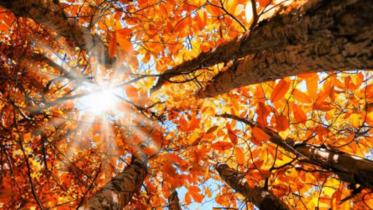 Vine frigul în România. Prognoza meteo pentru final de septembrie - început de octombrie