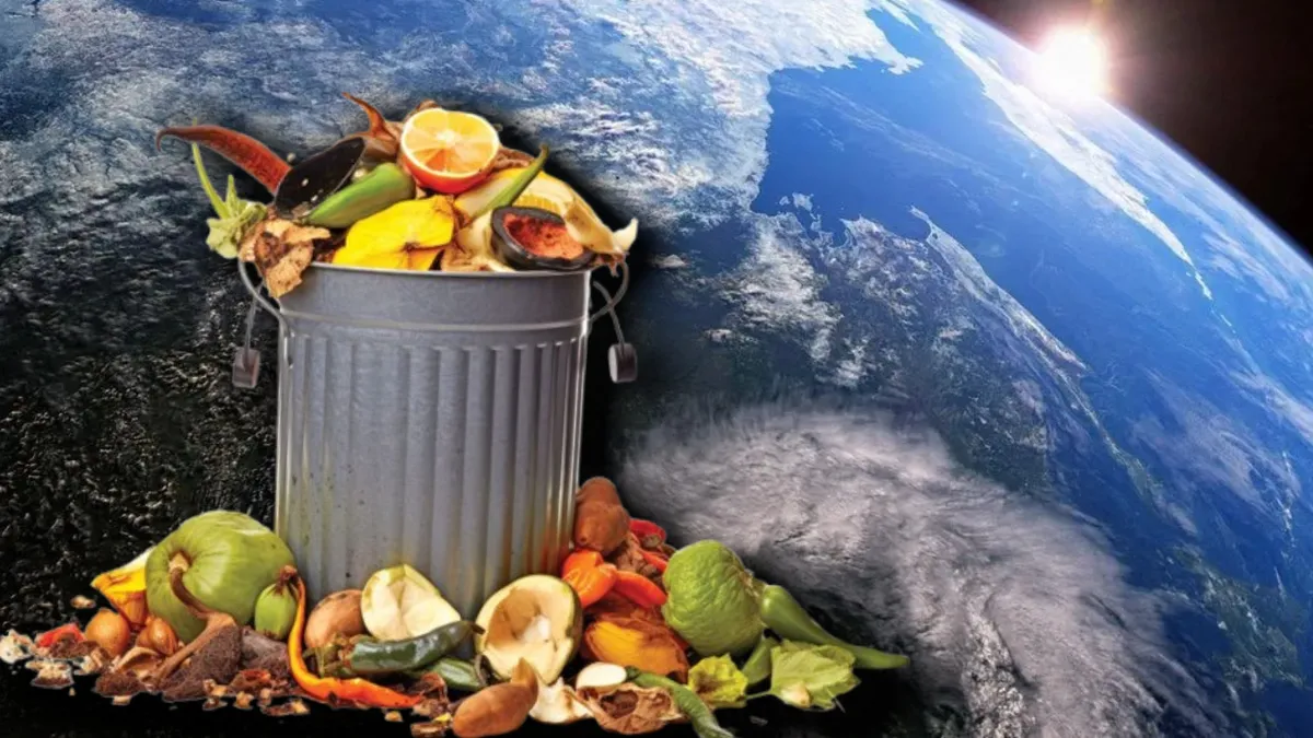 România, țara în care 2,5 milioane de tone de mâncare ajung la gunoi. Ce arată datele