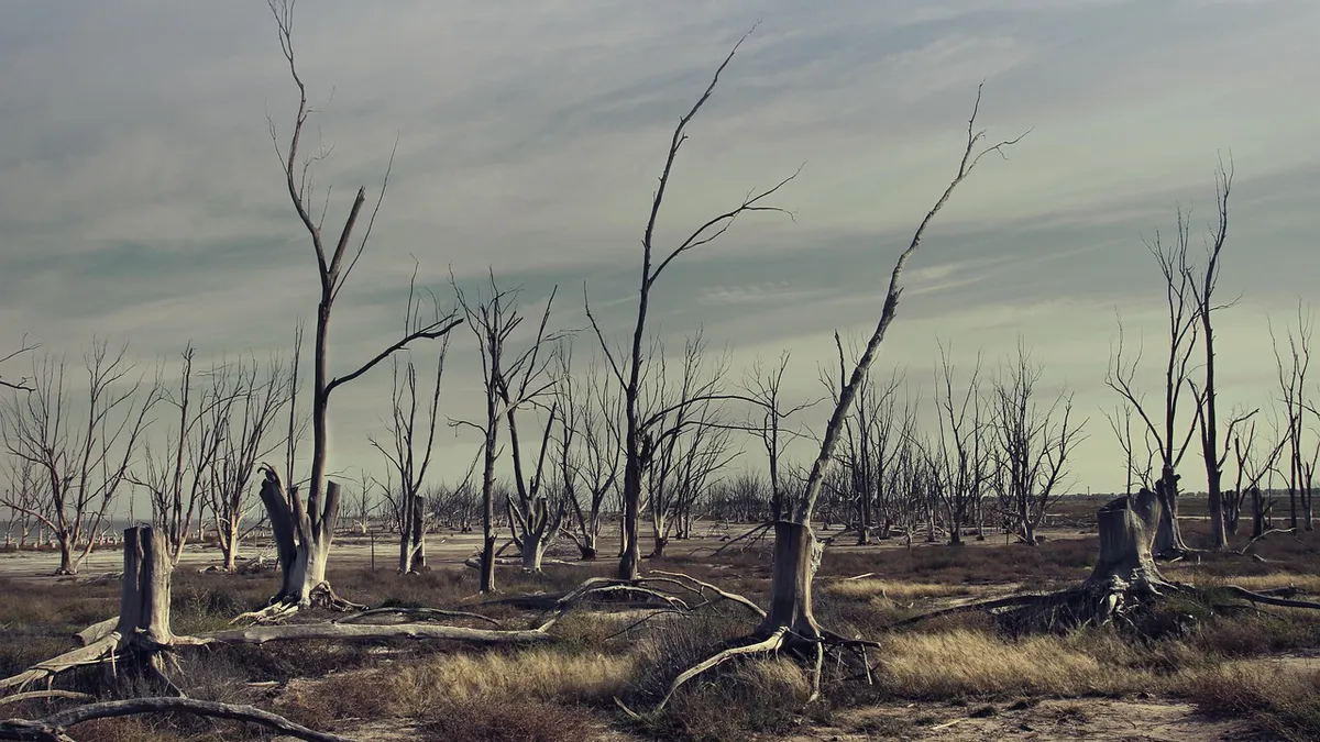 Marile orașe ale lumii riscă să rămână fără apă. Avertismentul făcut de climatologi