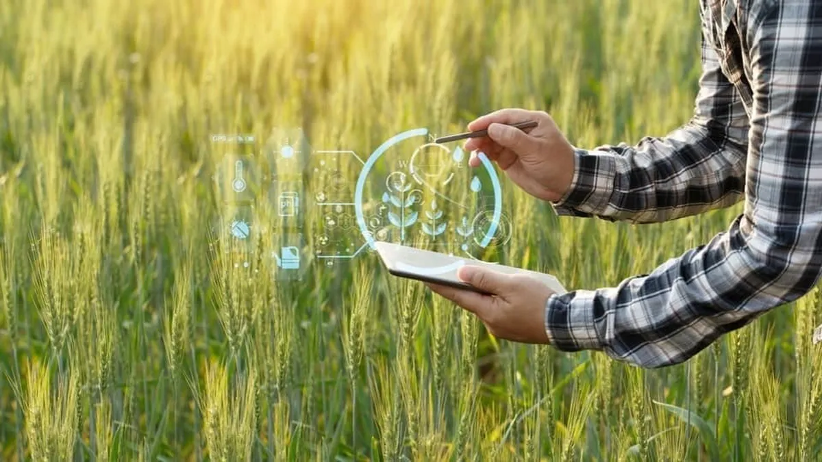 Agricultura inteligentă începe cu KX: platforma care îți oferă mai mult control asupra culturilor