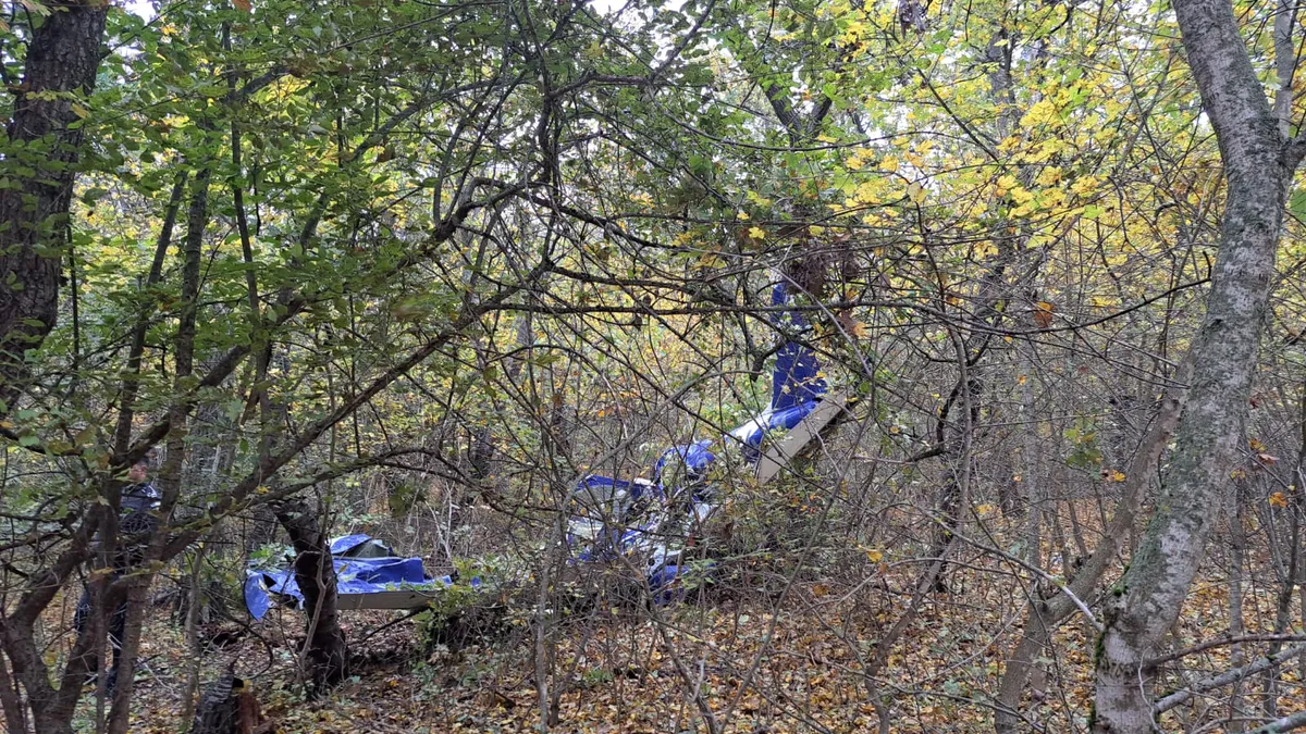 Accident aviatic în judeţul Vaslui. Un avion ultrauşor s-a prăbușit. Pilotul, un cunoscut om de afaceri, a fost găsit decedat