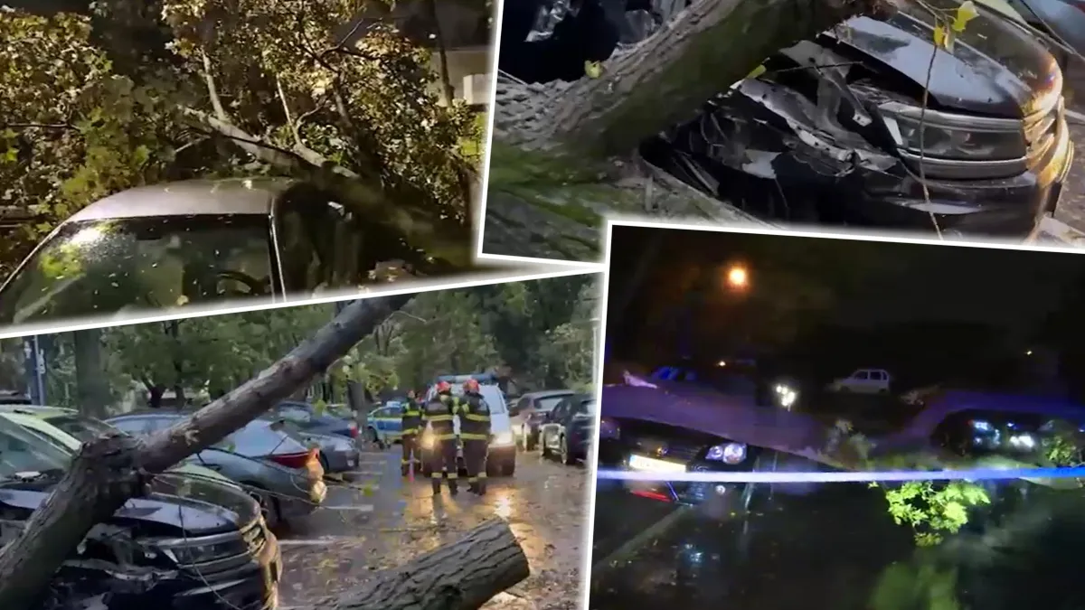 S-a dezlănţuit iadul în Bucureşti şi Ilfov. Vântul puternic a făcut prăpăd: copaci căzuţi, autoturisme avariate, cabluri electrice afectate
