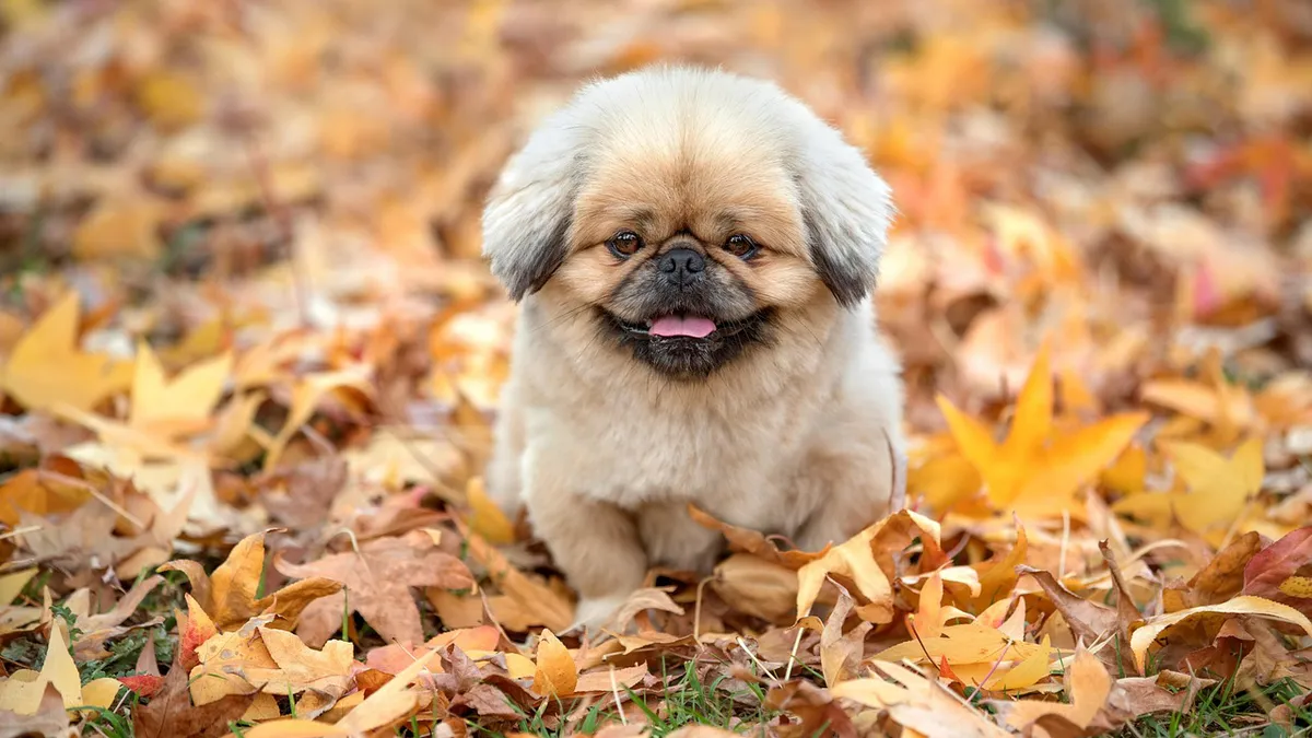 Prognoza meteo. Vreme frumoasă în weekend, însă de săptămâna viitoare revin ploile. Informații de ultimă oră de la meteorologi