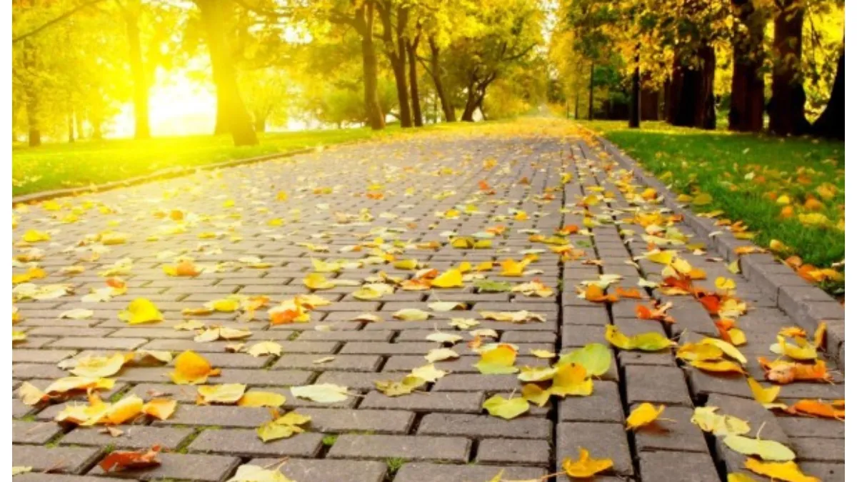 Prognoza meteo 10 octombrie. Vremea se încălzește în majoritatea zonelor. În București se anunță temperaturi de 20 de grade