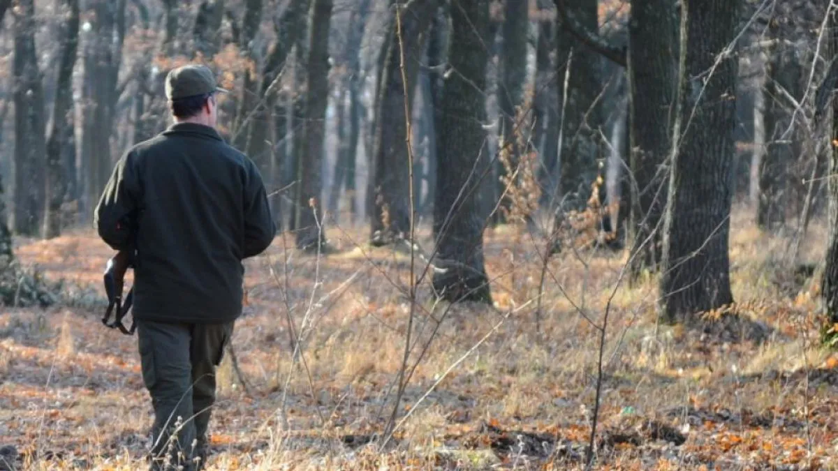 Body-cam-uri pentru pădurarii români în timpul serviciului. Proiectul de lege a ajuns la Camera Deputaţilor