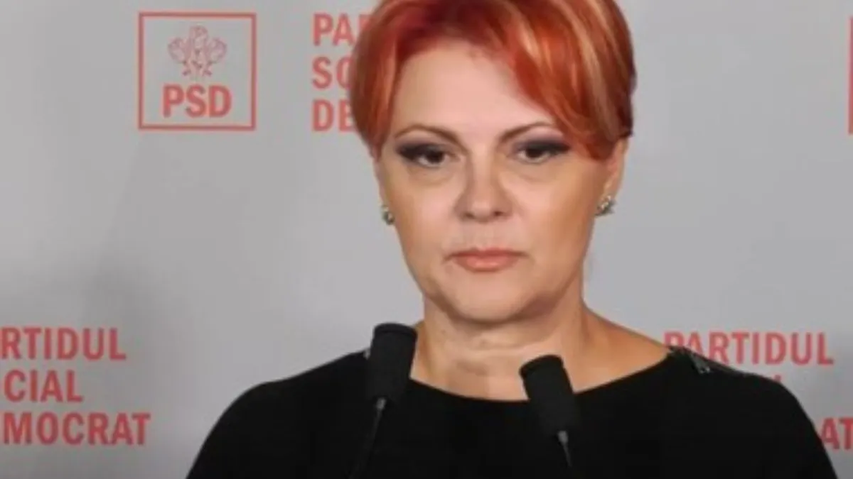 Propunerile PSD privind reforma administrației publice. Primarii să decidă între reducerea posturilor sau tăierea cheltuielilor