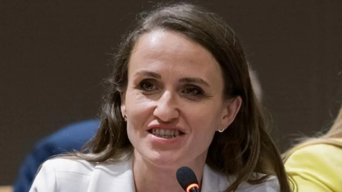 Ministra de Externe, Oana Țoiu, vrea ca România să cumpere armament în valoare de 16 miliarde de euro, cât jumătate din deficitul bugetar